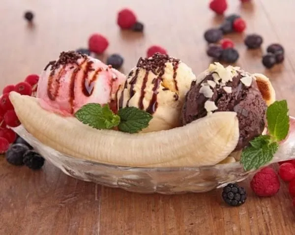 Foxi. The tailwind astro theme